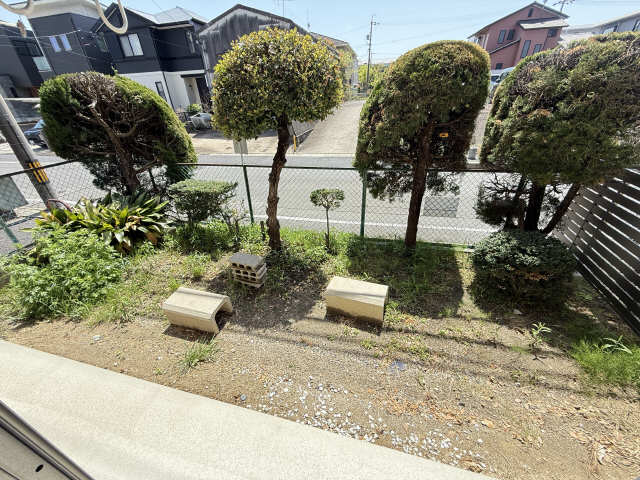 庭