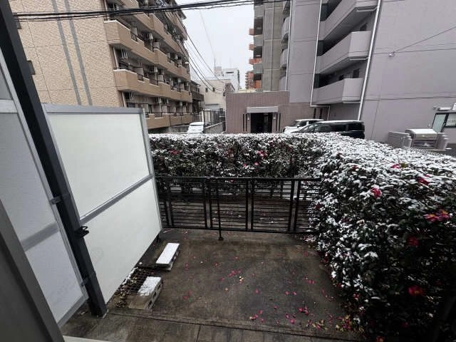 庭