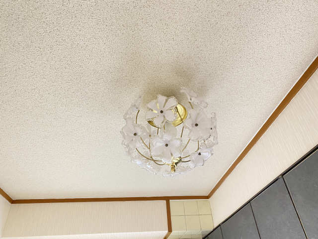 シンシア・ヤマチ 5階 キッチン照明