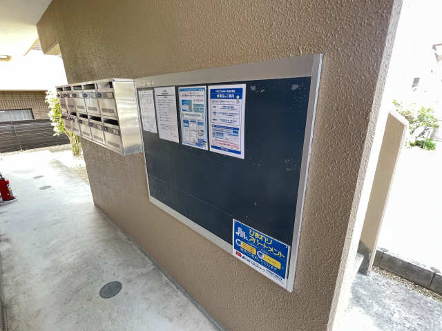 掲示板