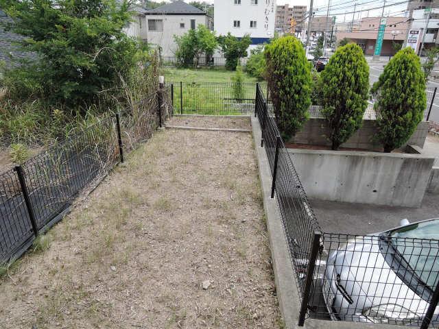 庭
