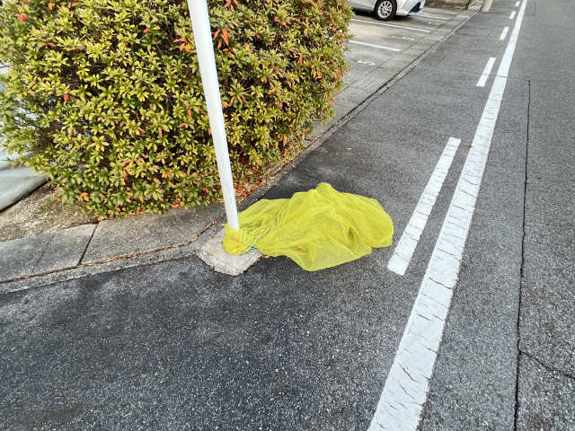ゴミ置き場