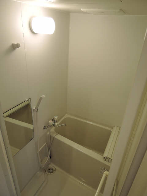 フラワーズドリームⅡ 9階 浴室