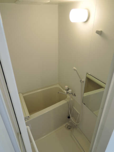 フラワーズドリームⅡ 5階 浴室
