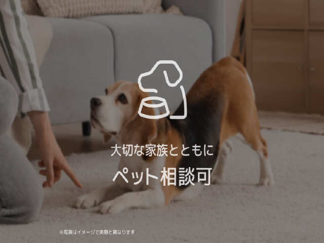 ペット相談可