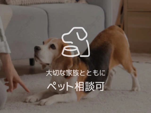 ペット相談可