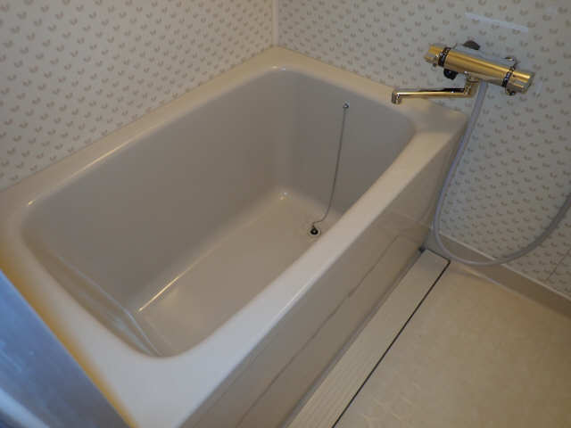 ヒルハイツ桃山 1階 浴室