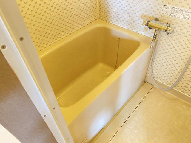 ヒルハイツ桃山 3階 浴室