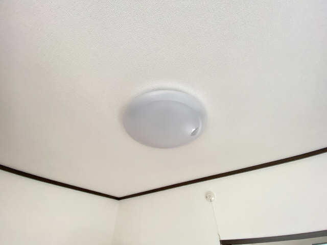 照明