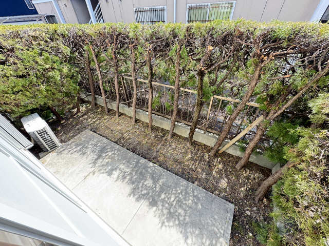 庭