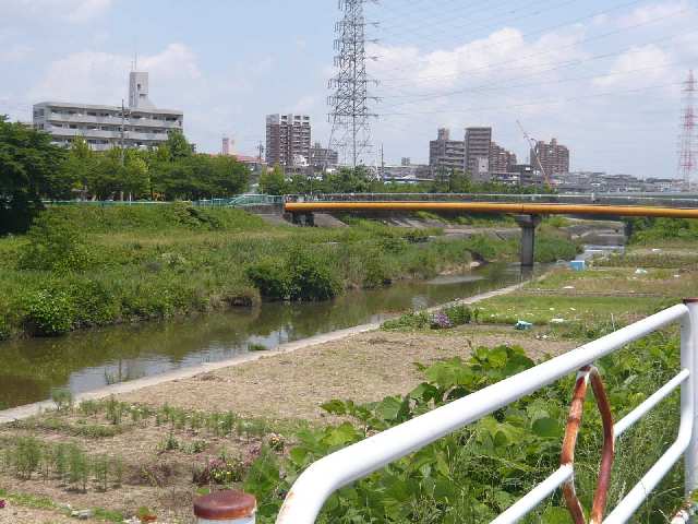 ルミネ原 3階 天白川歩５分