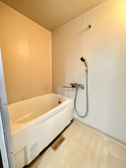 ハイツ桃山 2階 浴室
