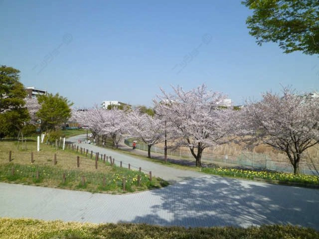 公園徒歩2分