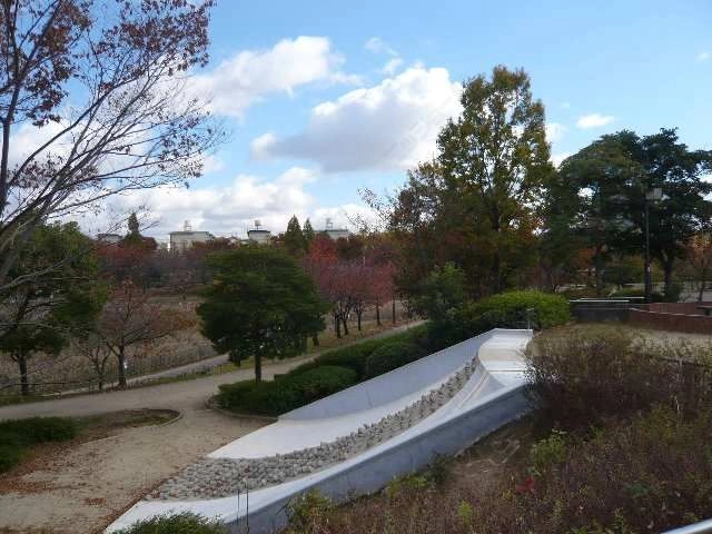 細口池公園歩5分