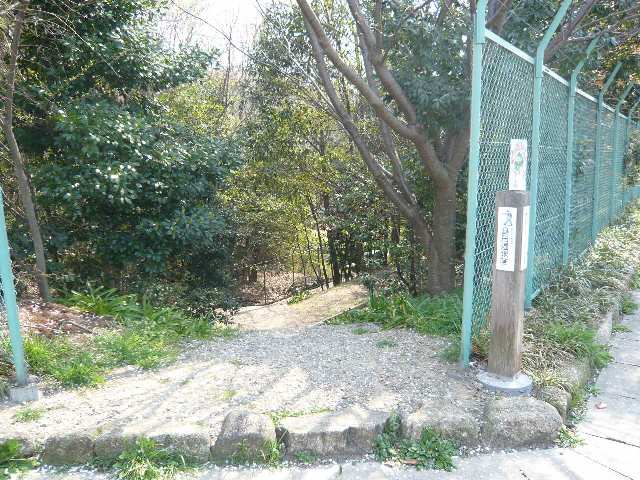 島田緑地歩1分