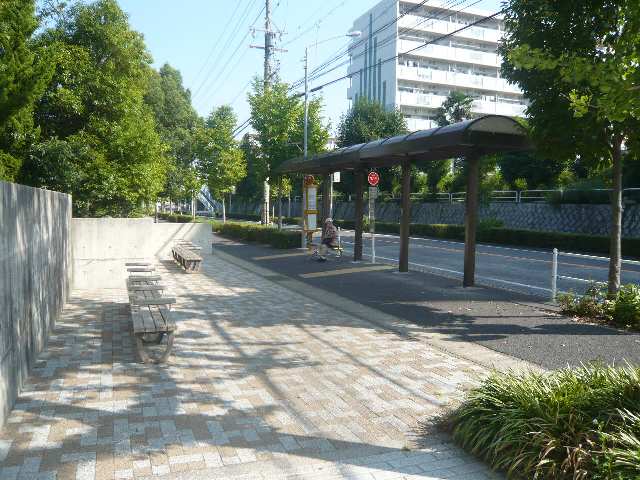 平針上の池停歩6分