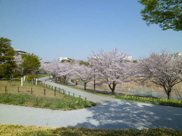 公園徒歩8分