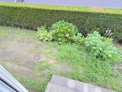 庭