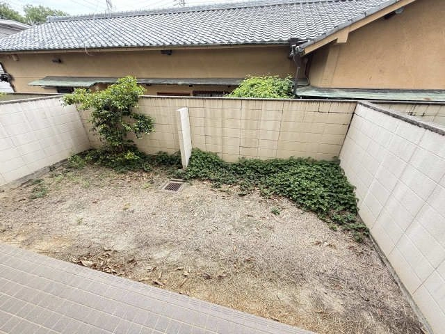 庭
