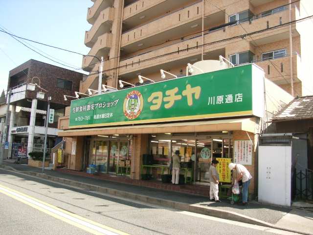 タチヤ