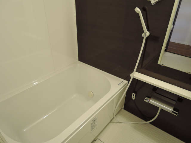 ビラ三秀山中 5階 浴室