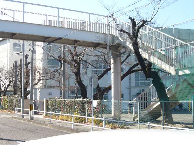 八事小学校