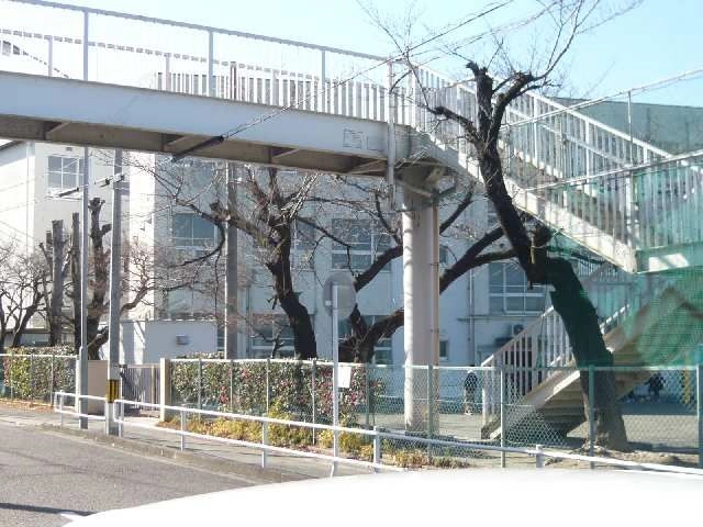 八事小学校