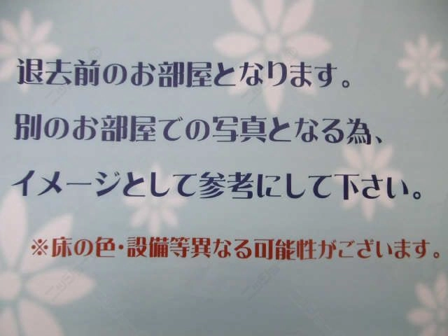参考写真