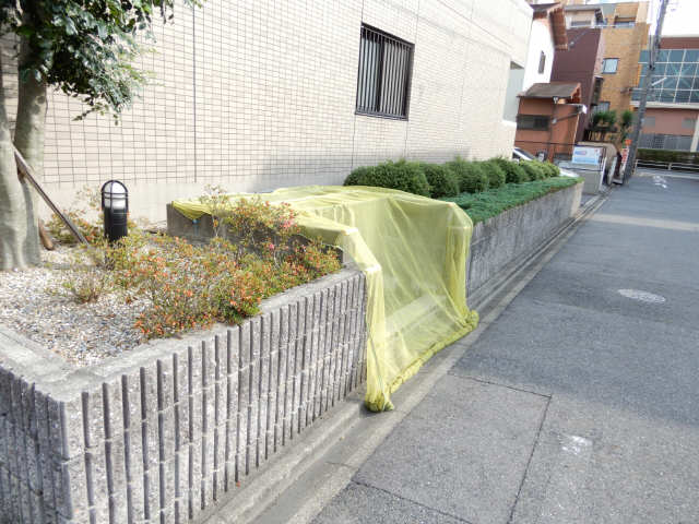 ゴミ捨て場