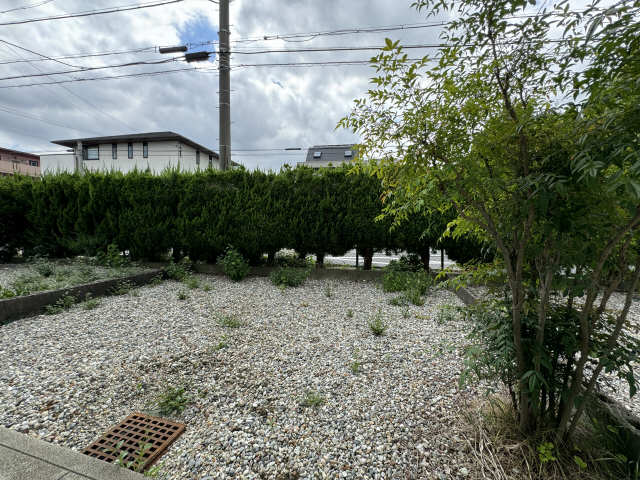 庭