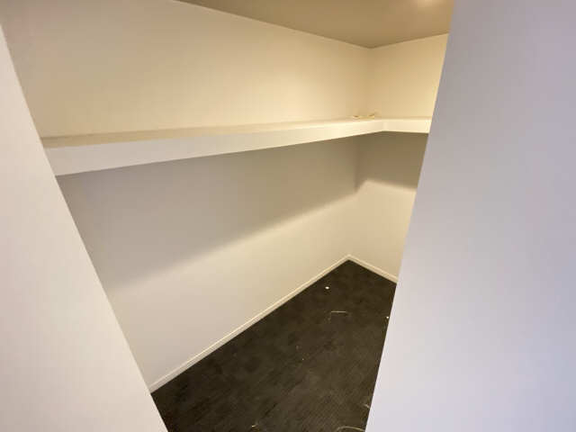 廊下ウォークイン収納