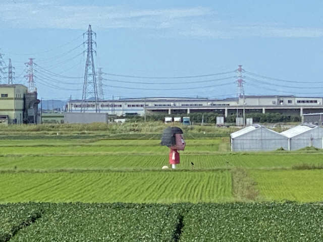 ２０２４年秋は・・・