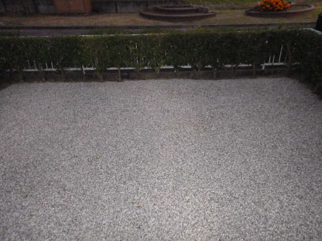 庭