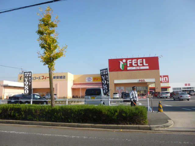 ドミール大西 4階 ＦＥＥＬ住吉町店