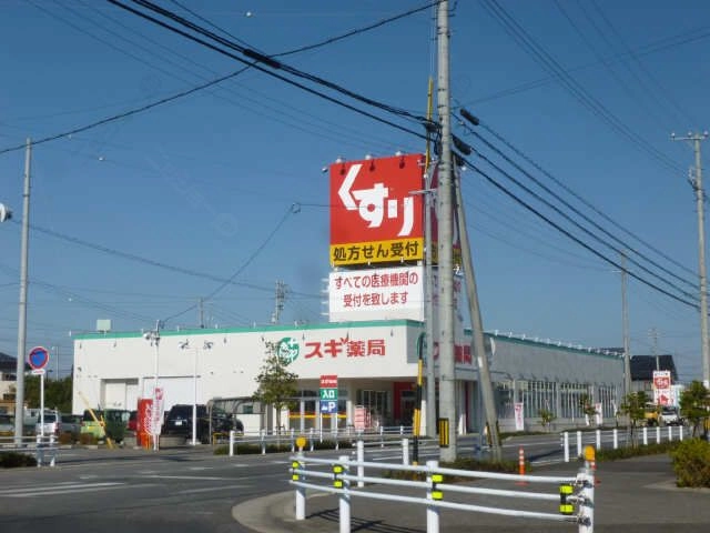 スギ薬局住吉町店