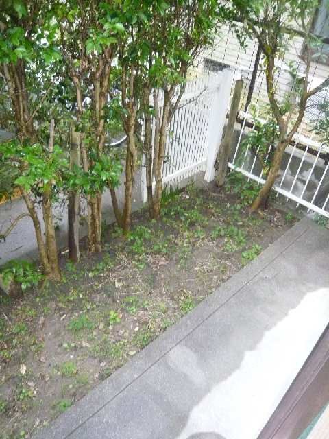 庭