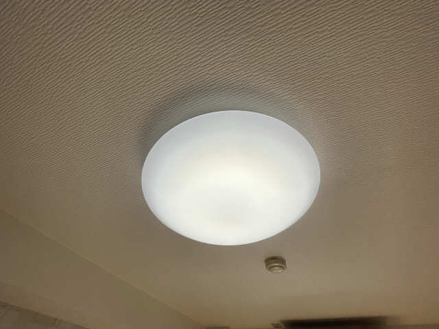 照明