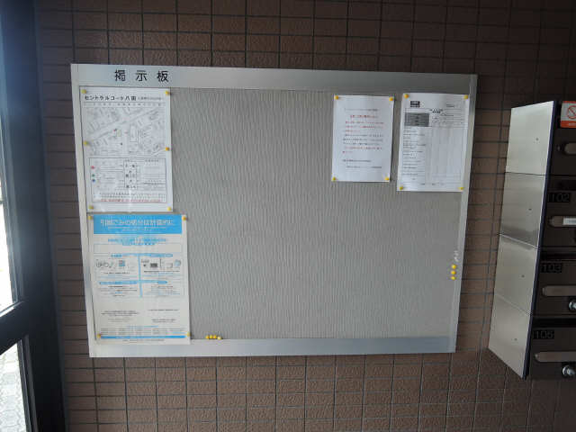 掲示板