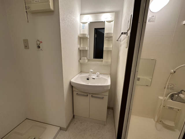 シャンプードレッサー