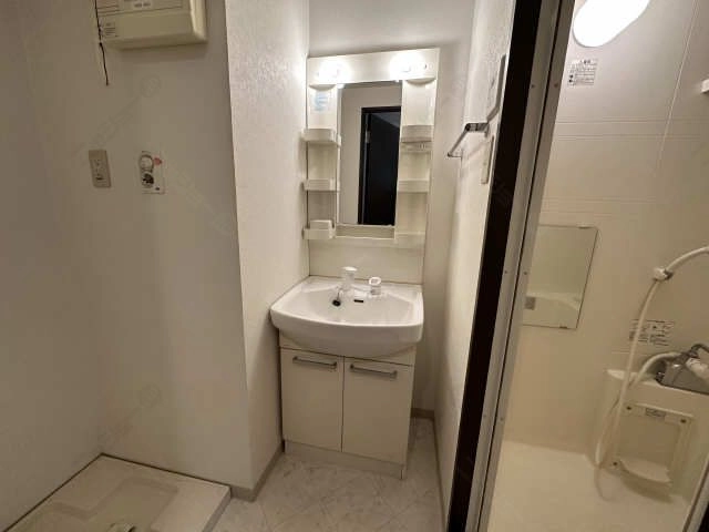 シャンプードレッサー