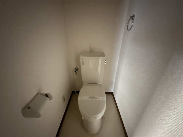 天水ハイツ 2階 WC