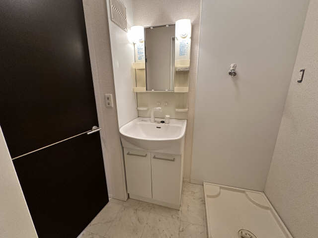 シャンプードレッサー