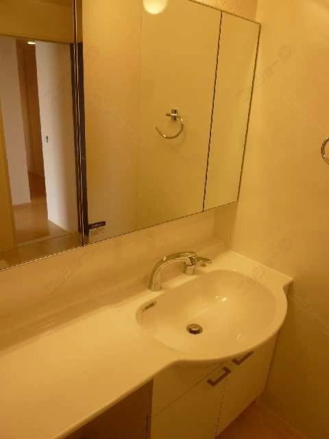 シャンプードレッサー