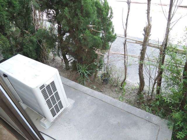 庭