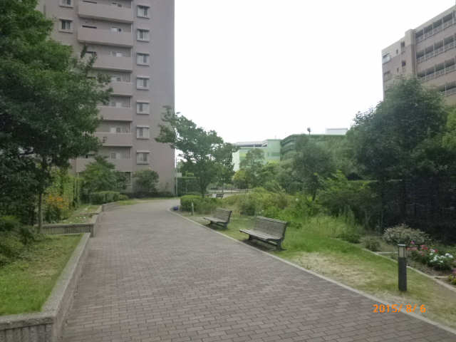 共有部分