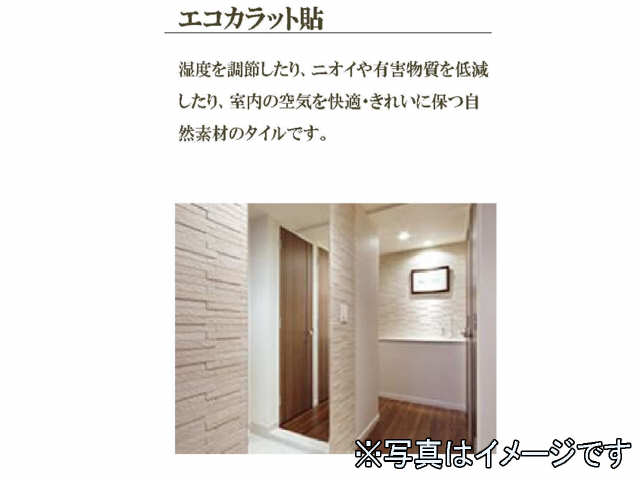 エコカラット