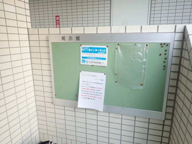 掲示板