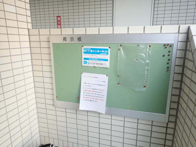 掲示板