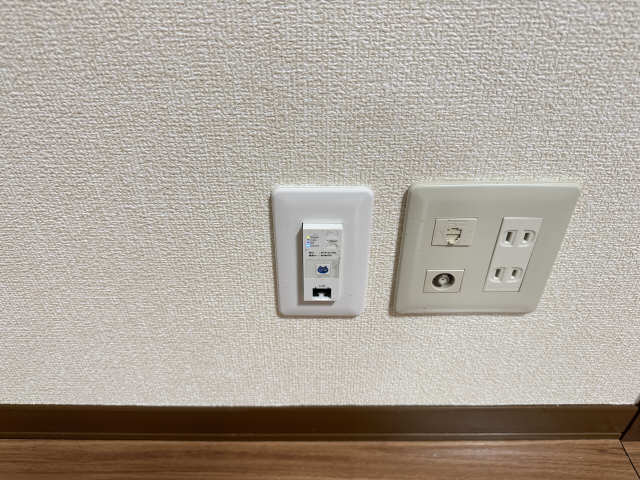 ネット無料