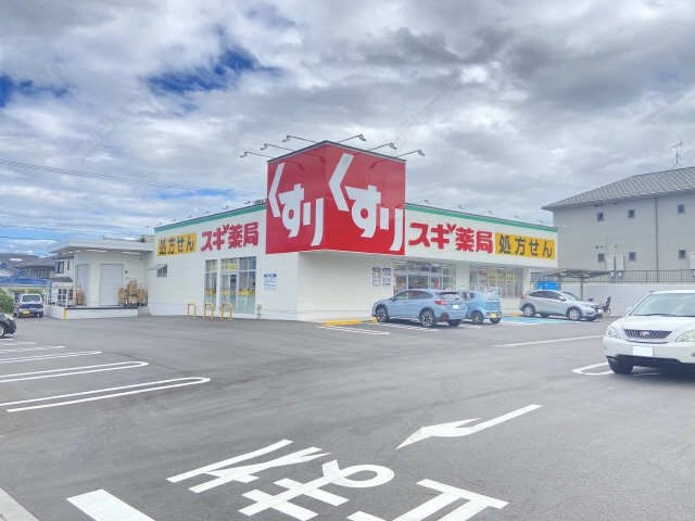 （近隣）スギ薬局